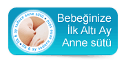 Anne Sütü