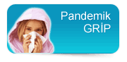 Pandemik Grip